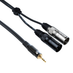 Bespeco mini stereo jack to 2 x Canon male 3m