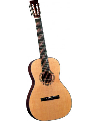Blueridge BR-341 Parlour Acoustic Guitar