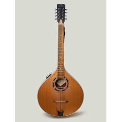 Carvalho Root Octave Mandolin, Solid Spruce
