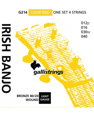 Galli Irish Tenor Banjo. Med. Bronze G214