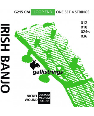 Galli G214CM Irish Tenor Banjo, Med, Nickel