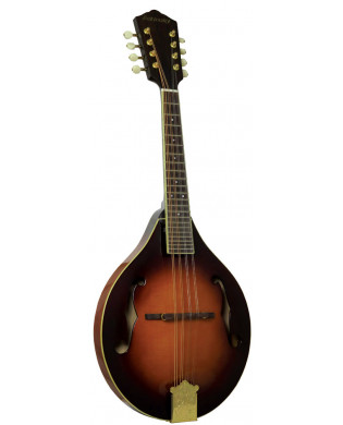 Ashbury A Style Bluegrass Mandolin