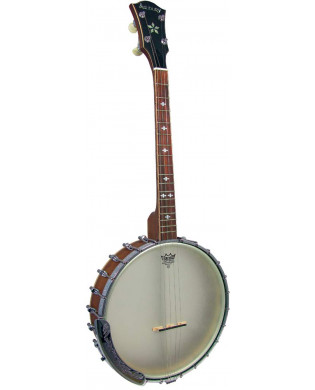 Ashbury Openback Tenor Banjo, 17 Fret AB-55TS