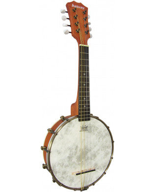Ashbury Openback Mandolin Banjo