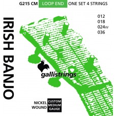Galli Irish Tenor Banjo, Med, Nickel