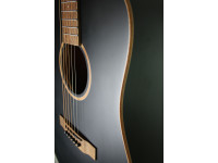 Acoustic-Guitar Acoustic-Guitar