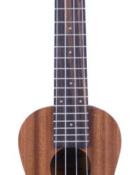 Ukulele