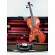 Osztreicher 4/4 Violin SN507