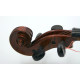 Osztreicher 4/4 Violin SN507