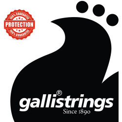 Galli PL016 Plain Ball end string .016