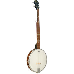 Ashbury AB-10 5 String Banjo, Openback