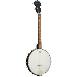Ashbury AB-10-T Tenor Banjo. Openback