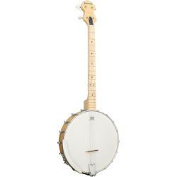 Ashbury AB-25-T Tenor Banjo, Open Back