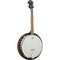 Ashbury AB-35-TS Tenor Banjo, Short Scale