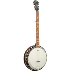 Ashbury AB-45-5 5 String Banjo