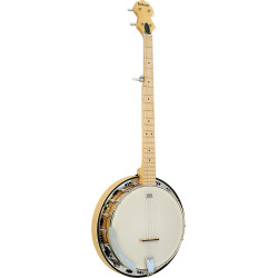 Ashbury AB-65-5 5 String Banjo