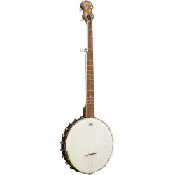 Ashbury AB-85-5 5 String Banjo, Open back