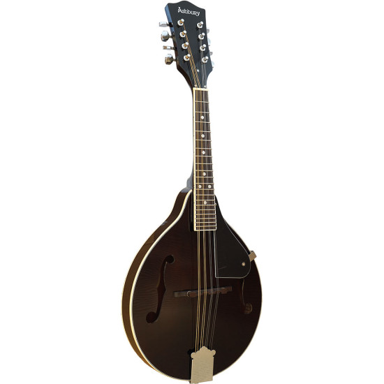 Ashbury AM-10K A Style Mandolin with F Holes
