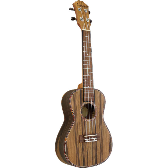 Ashbury AU-89CZ Concert Ukulele Ashbury AU-89CZ Concert Ukulele