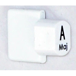 Ashbury Autoharp Key, A