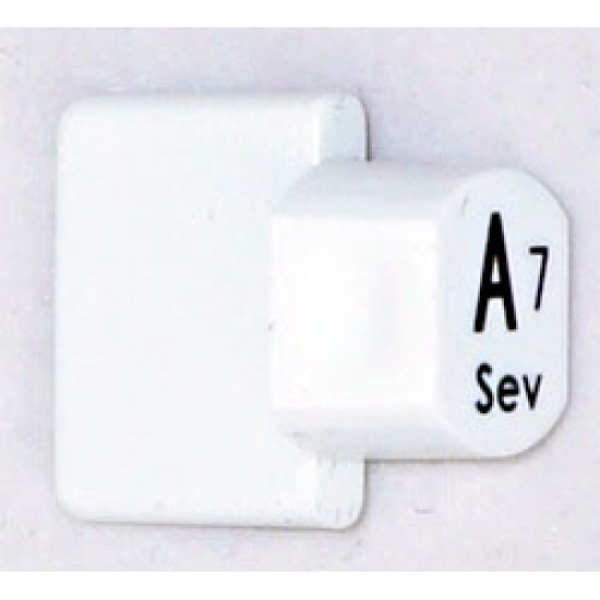 Ashbury Autoharp Key, A7 Ashbury Autoharp Key, A7