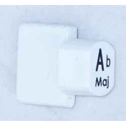 Ashbury Autoharp Key, Ab