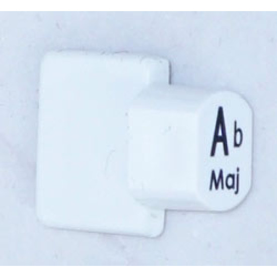 Ashbury Autoharp Key, Ab Ashbury Autoharp Key, Ab