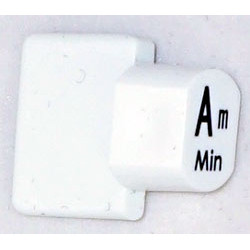 Ashbury Autoharp Key, Am