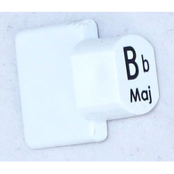 Ashbury Autoharp Key, Bb