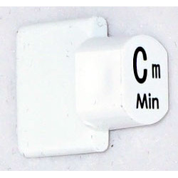 Ashbury Autoharp Key, Cm