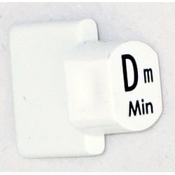 Ashbury Autoharp Key, Dm
