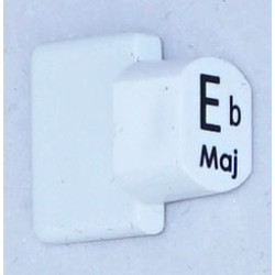 Ashbury Autoharp Key, Eb