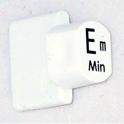 Ashbury Autoharp Key, Em