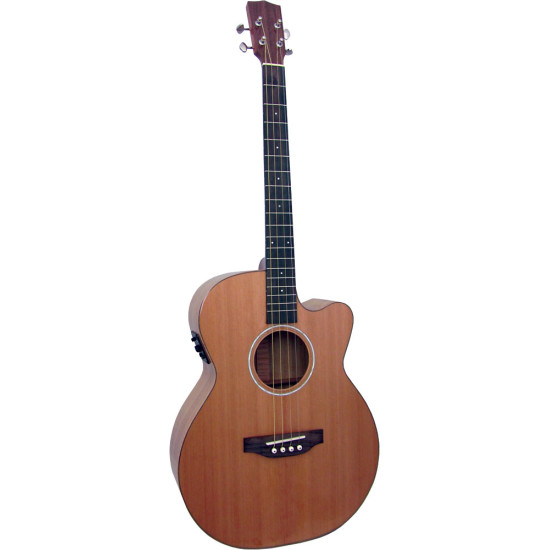 Ashbury Lindisfarne Tenor Guitar