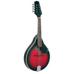 Blue Moon BM-06 A Style Mandolin, Oval Soundhol Blue Moon BM-06 A Style Mandolin, Oval Soundhol