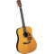 Blueridge BR-160 Dreadnought Acoustic Guitar Blueridge BR-160 Dreadnought Acoustic Guitar