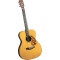 Blueridge BR-163 000 Acoustic Guitar Blueridge BR-163 000 Acoustic Guitar