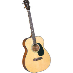 Blueridge BR-40T Tenor Guitar