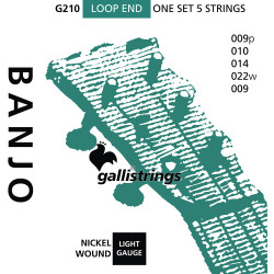 Galli G210 5 String Banjo, Light, Nickel