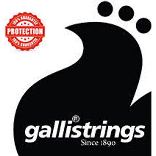 Galli PW050 LE Phosphor Bronze Loop End .050