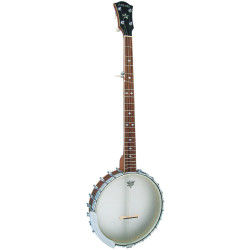 Ashbury AB-55-5 5 Str Banjo, Walnut Open Back