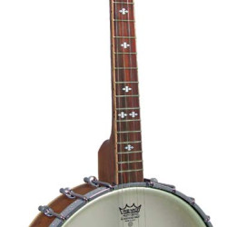Ashbury AB-55-TS Openback Tenor Banjo, 17 Fret