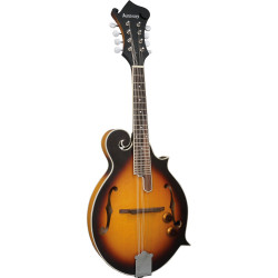 Ashbury AM-380E Electro F Style Mandolin, S/B