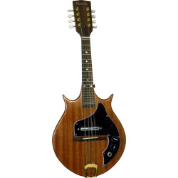 Ashbury AM-240 Solid Body Electric Mandolin