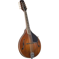 Kentucky KM-256 Deluxe A Model Mandolin. Brown