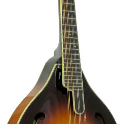Ashbury AM-510 A Style Bluegrass Mandolin