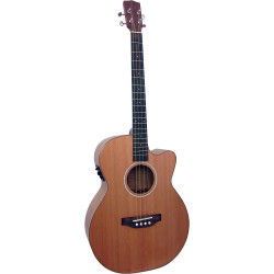 Ashbury Lindisfarne Tenor Guitar, Solid Cedar