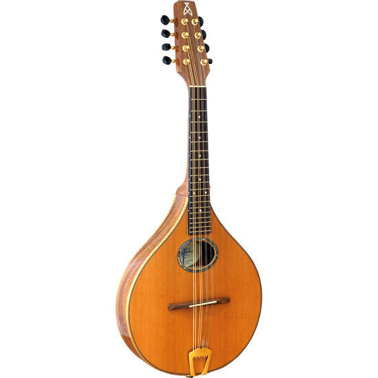 Ashbury Lindisfarne Cedar Mandolin