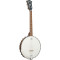 Ashbury AB-53-T Tenor Banjo, Walnut Open Back