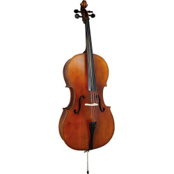 Valentino Classic Cello 4/4 Outfit